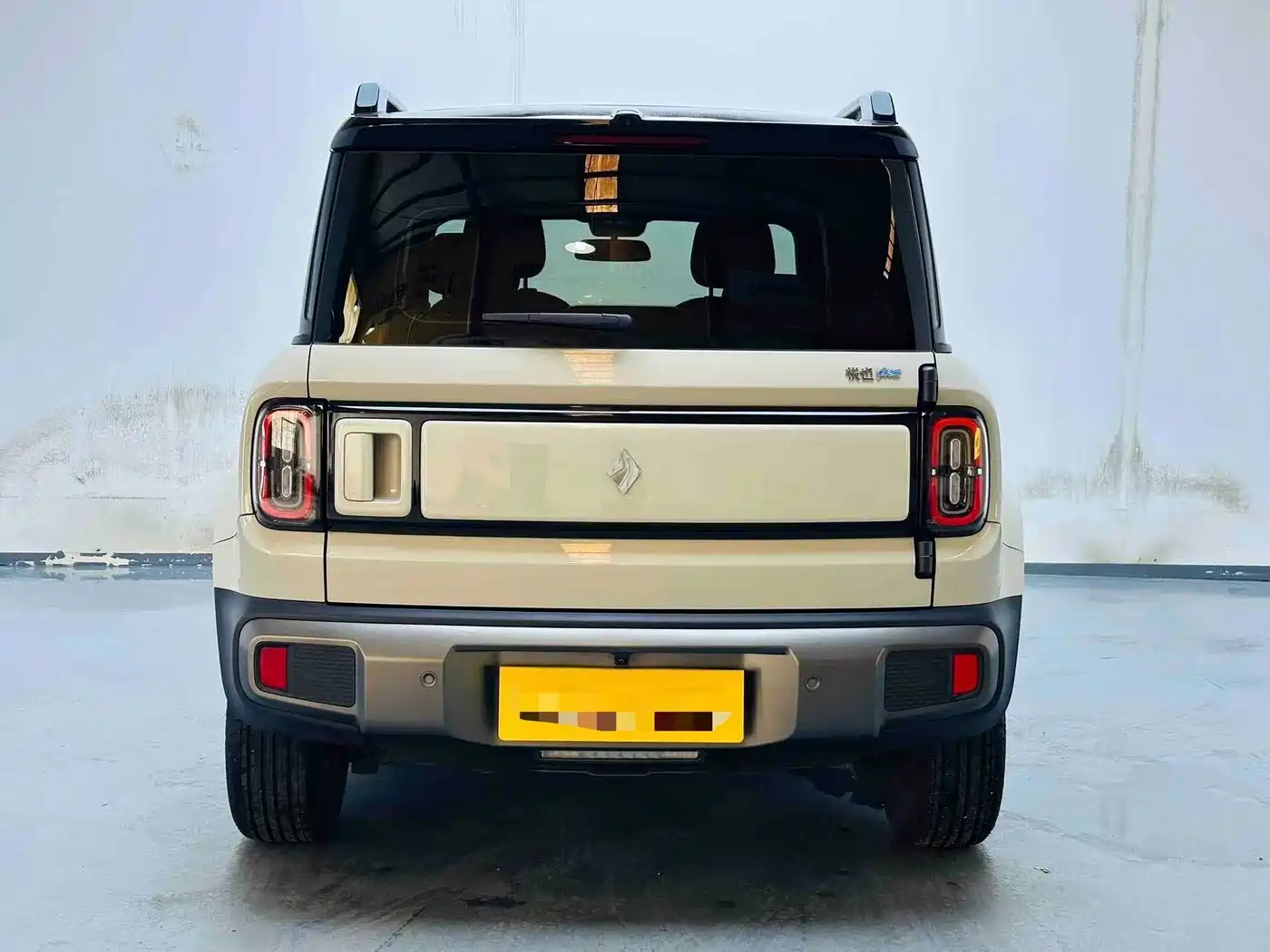 Baojun Yueye Plus 2025 2026 301km Flagship