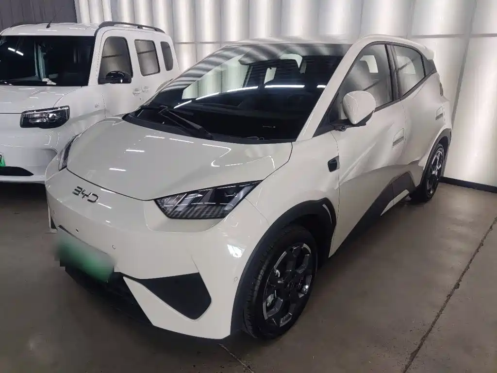 BYD Seagull 2025 Smart Drive Edition 305km Freedom Version