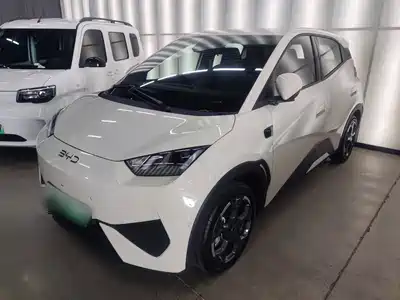 BYD Seagull