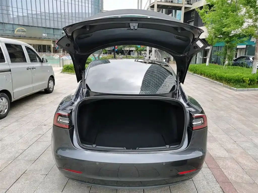 Tesla Model 3 (Import) 2019 2019 Performance High-Efficiency All-Wheel Drive Version