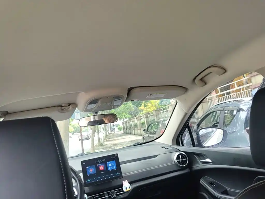 BYD Yuan New Energy 2020 2019 EV535 Smart Connected Trend Leader Type