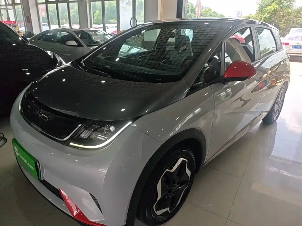 BYD Dolphin 2021