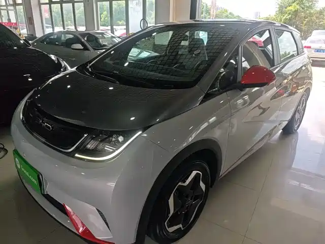 BYD Dolphin 405km, Свобода