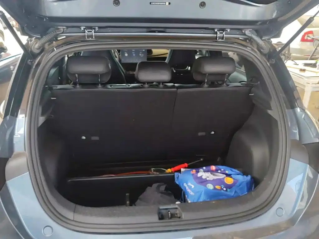 Photo 19 - BYD Dolphin