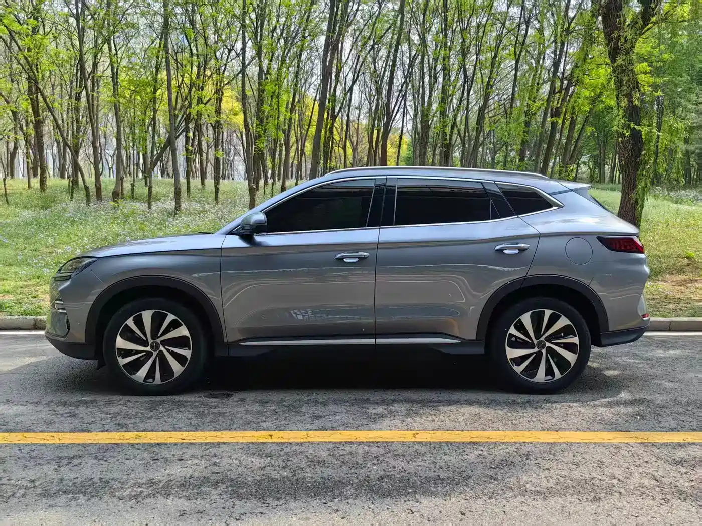 BYD Song PLUS PHEV 2024 Glory Edition DM-i 110km Flagship фото 3