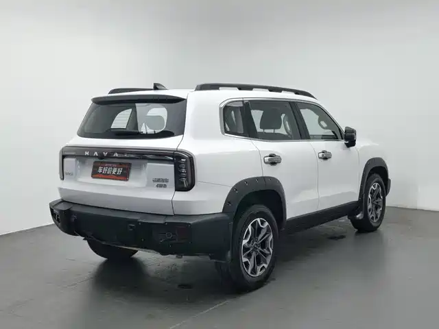 Haval Big Dog 2024 2.0T DCT Chinese Rural Dog Edition — фото 2