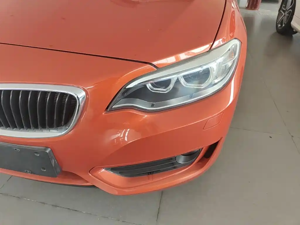 BMW 2 Series (Import) 2015 218i Convertible Coupe фото 24
