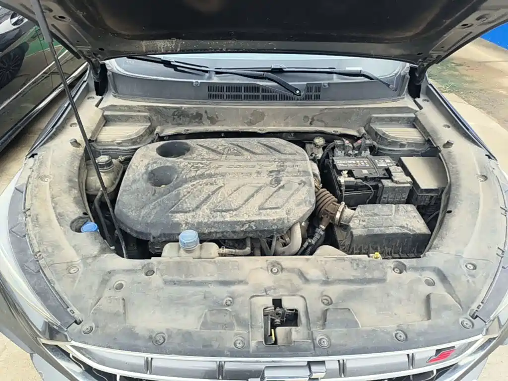 Фото 19 - Changan Oshan Changan Oushang X5