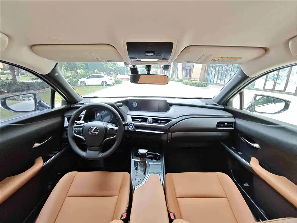 Lexus UX 2020 260h Explore Cool Edition China V фото 11