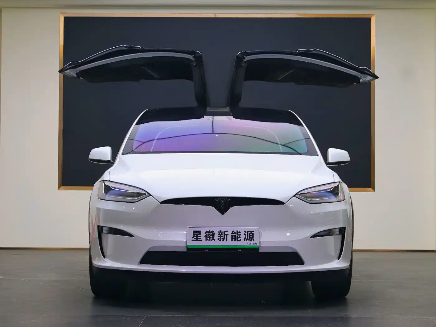 Tesla Model X 2023 2023 Dual Motor All-Wheel Drive Edition