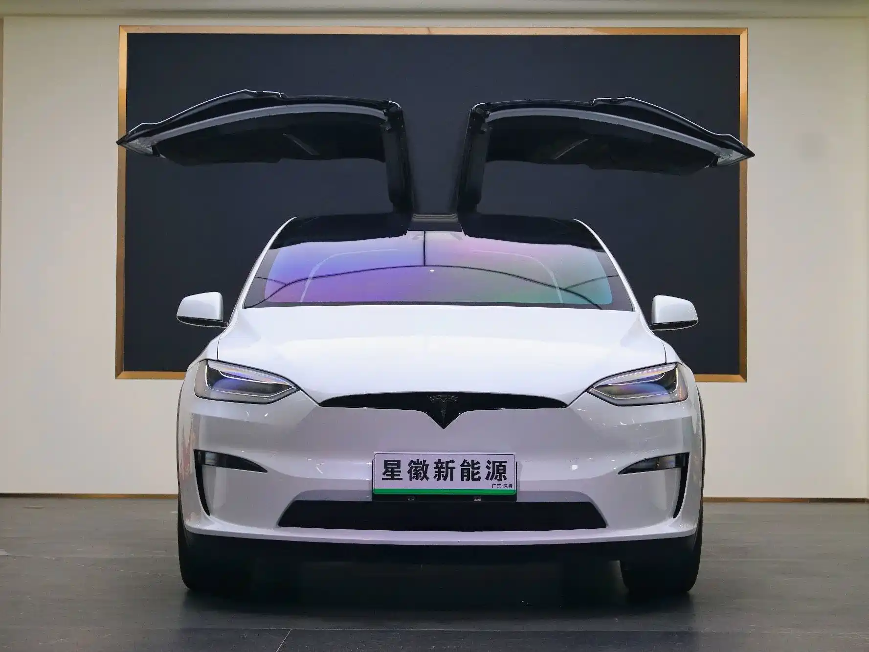 Фото 2 - Tesla Model X