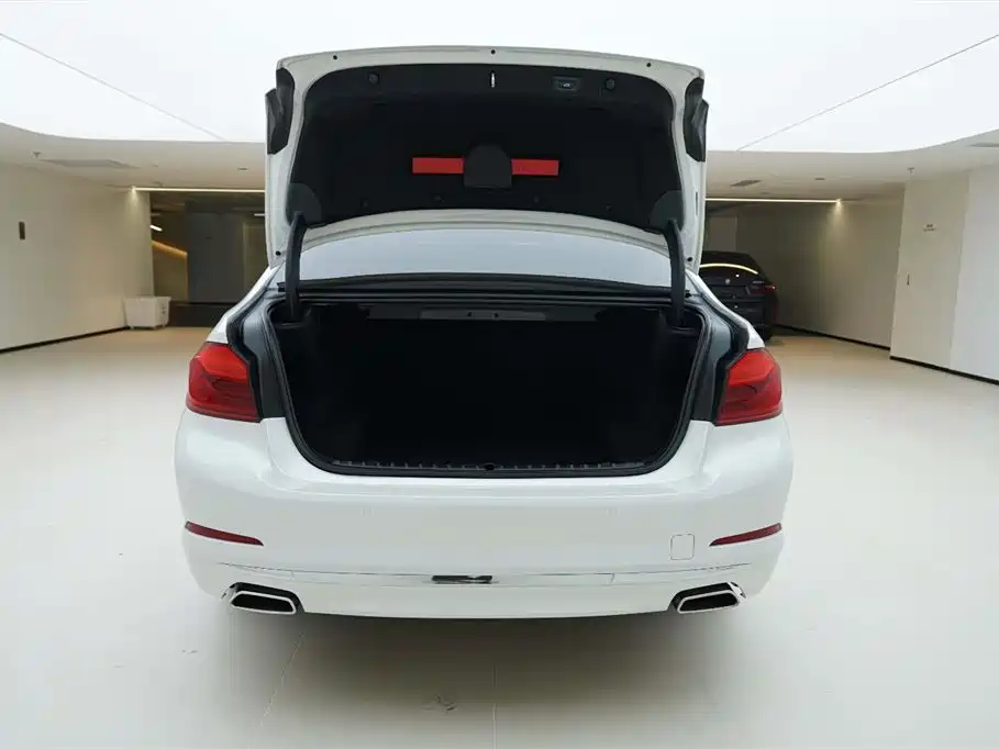 BMW 5 Series 2020 525Li Luxury Package фото 6