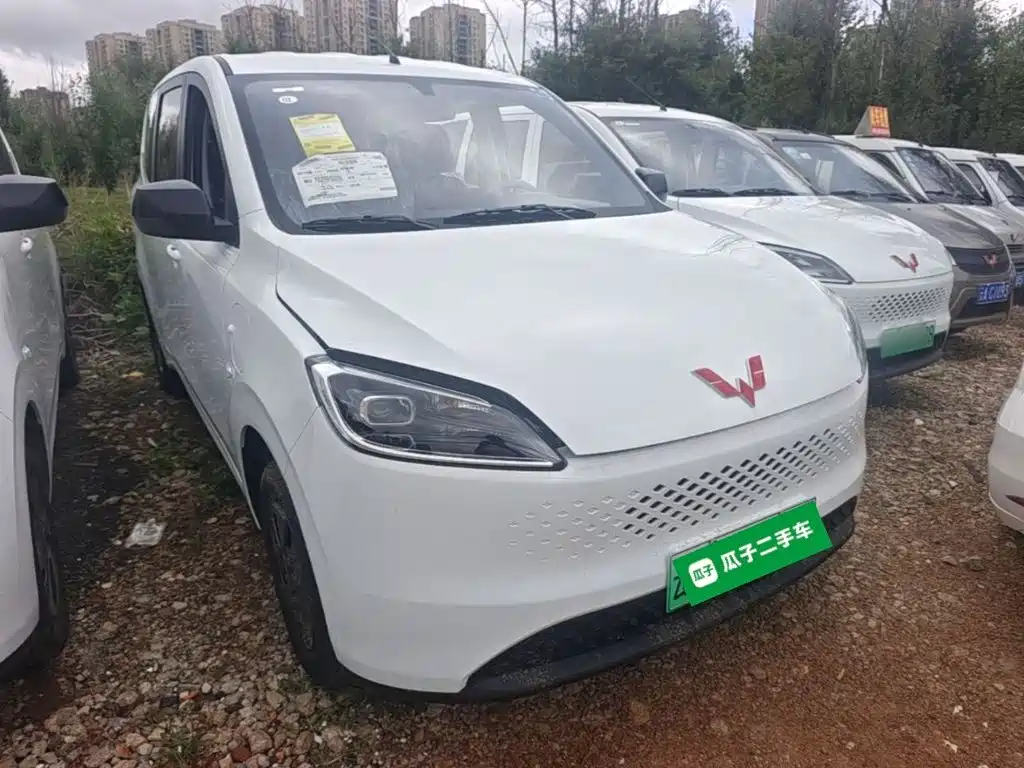2026 Wuling Motors Wuling Hongguang New Energy