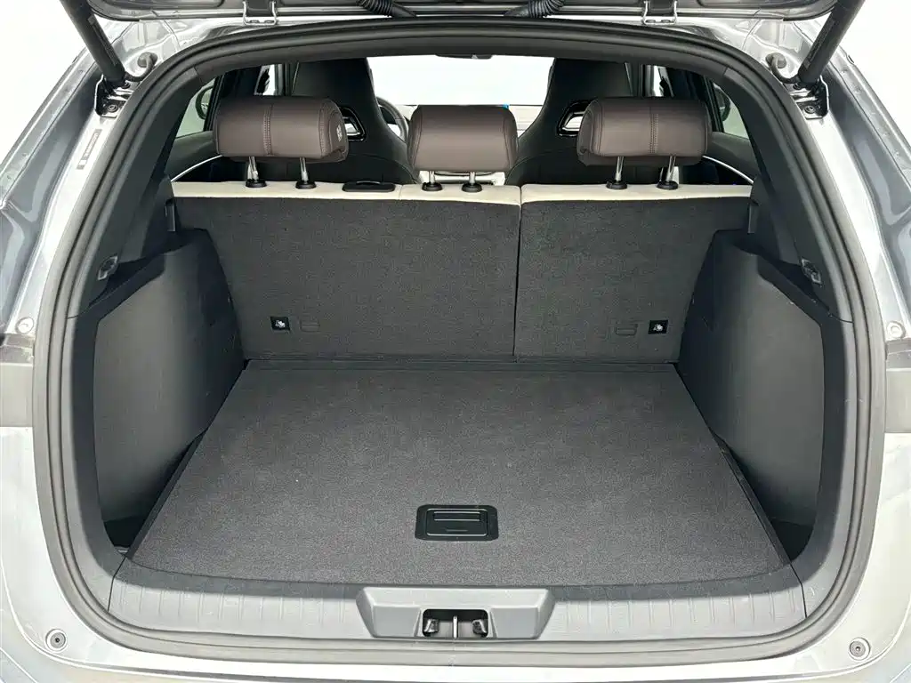 BYD SONGJIANG NEW ENERGY