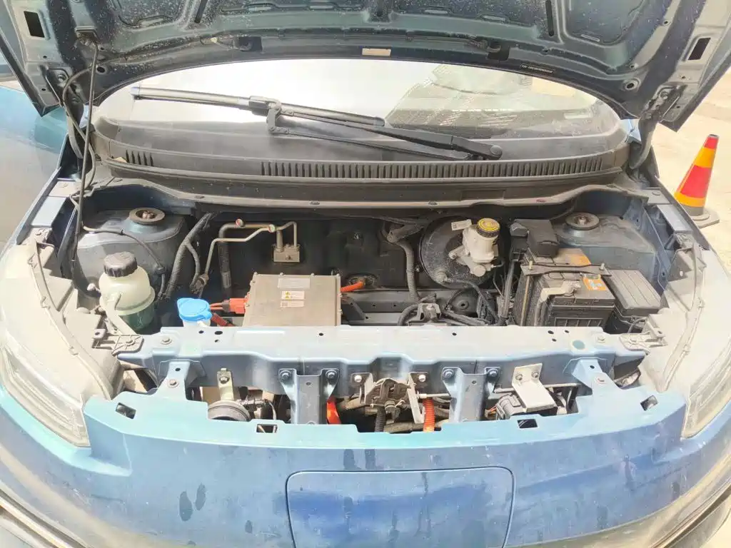 Dayun Yuehu 2023 2022 30.66kWh 2WD Standard Edition