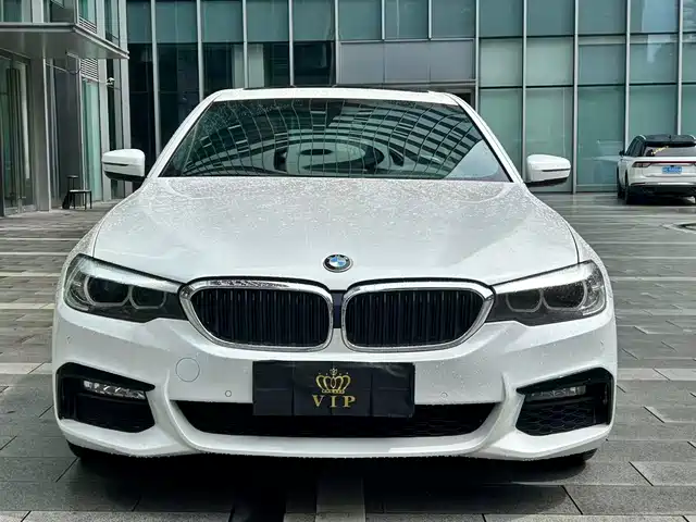 BMW BMW 5 Series 2019 530Li Leading M Sport Package