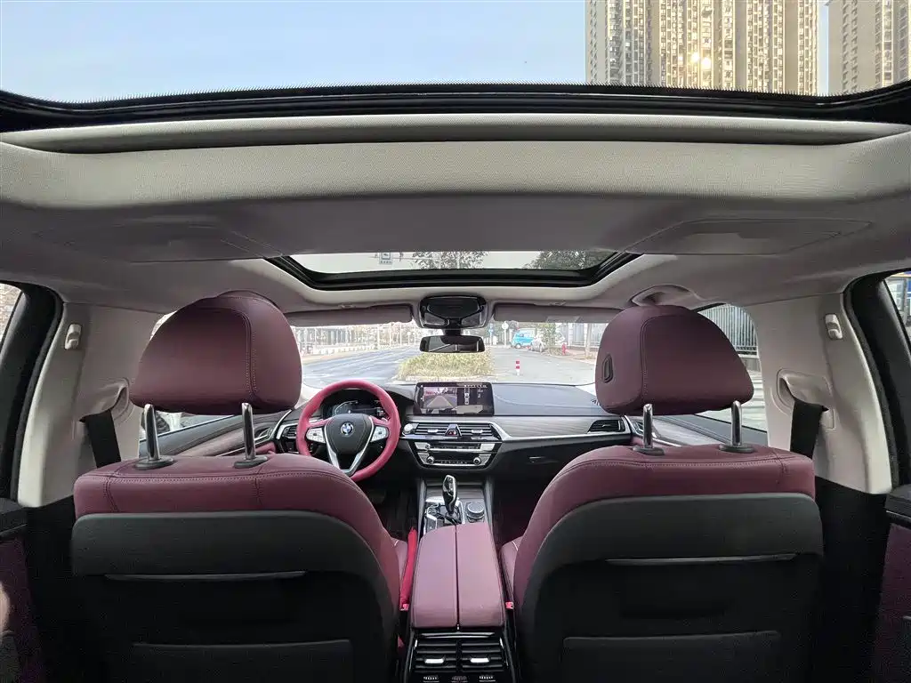 BMW 5 Series 2022 530Li Leading Luxury Package фото 12