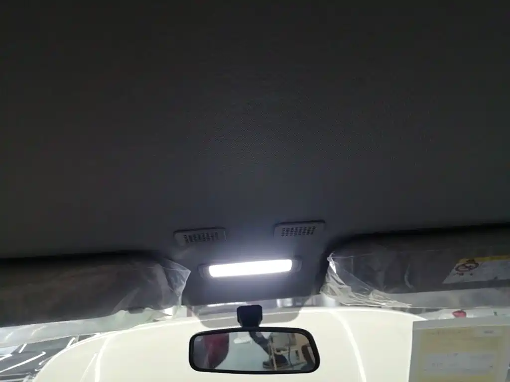 Geely Galaxy Panda 2026 2025 Panda mini 210km Vitality Bear