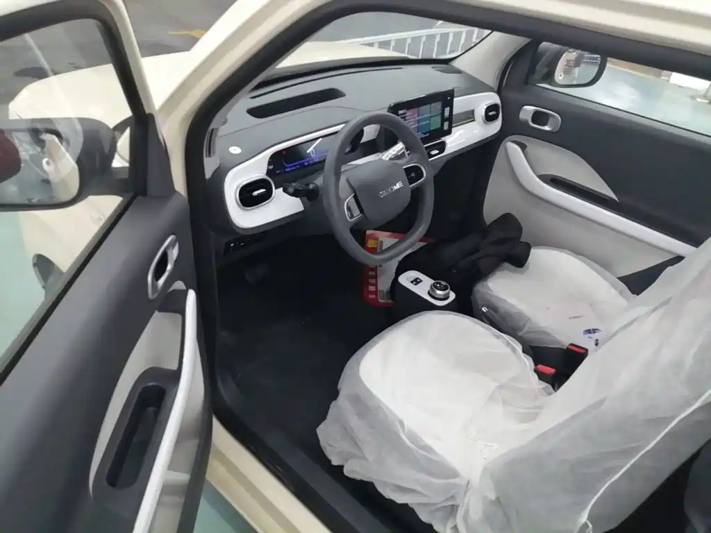 Geely Galaxy Panda 2026 2025 Panda mini 210km Vitality Bear