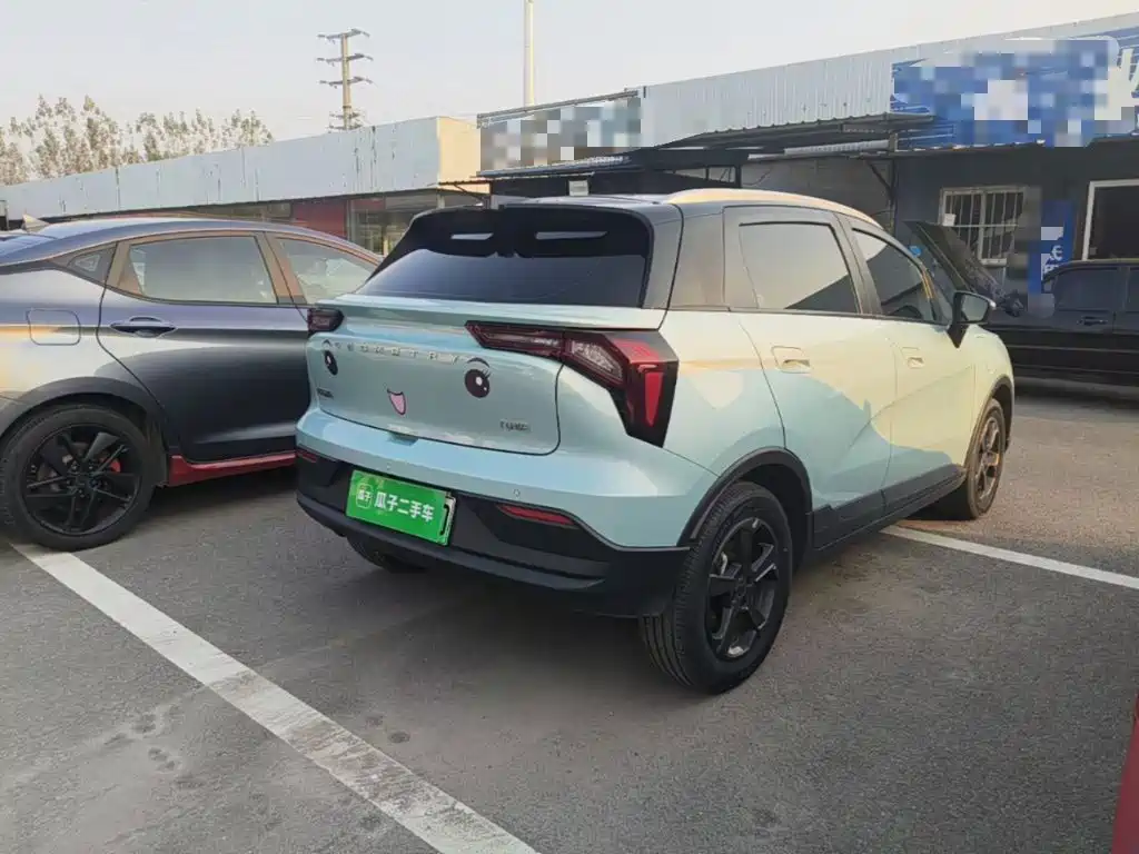 Geely Geometry E Firefly 2024 2023 401KM Lightning Tiger 5-seater