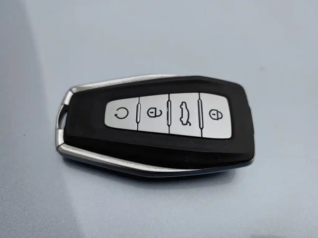 Photo 19 - Geely Atlas
