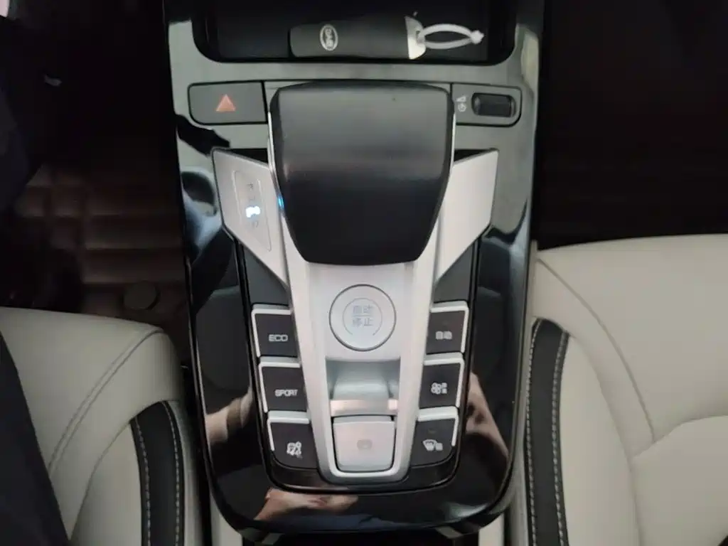 BYD Yuan Pro 2022 2021 401KM Luxury Model