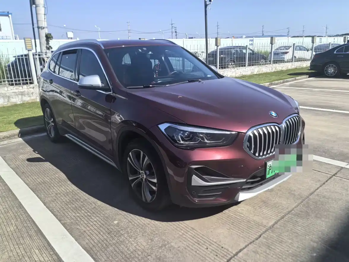 BMW X1 New Energy 2021 2020 xDrive30Le Premium Edition