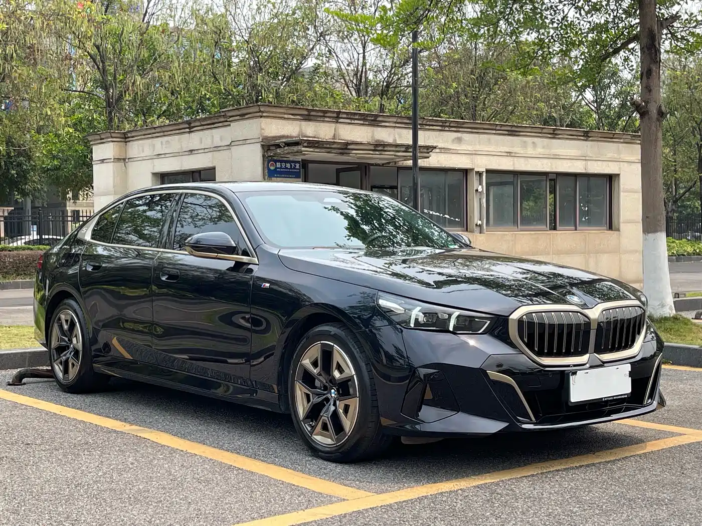 BMW 5 Series 2024 530Li Leading M Sport Package фото 3