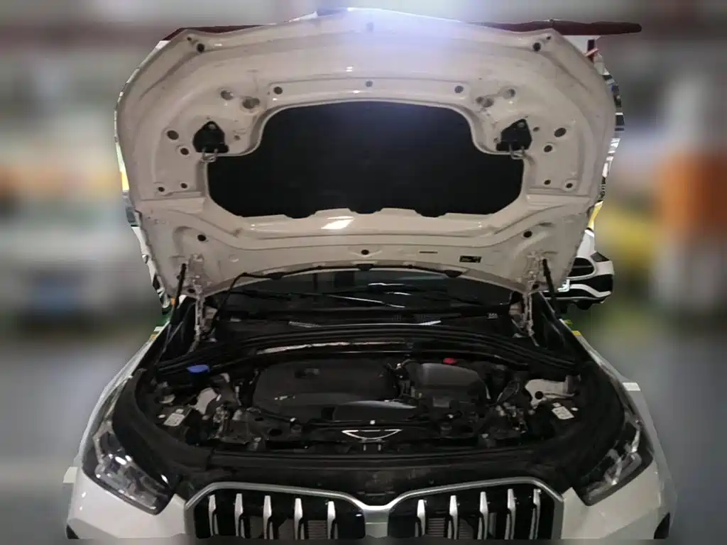 BMW X1 2025 2025 sDrive25Li X Design Package