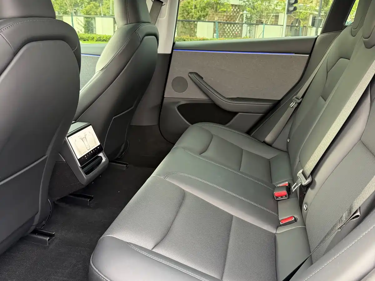 Tesla Model 3 2026 2025 Model Rear-Wheel Drive Edition