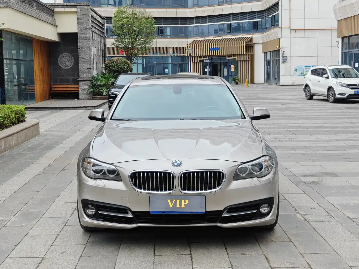 BMW 5 Series 2014 520Li Elegance фото 2