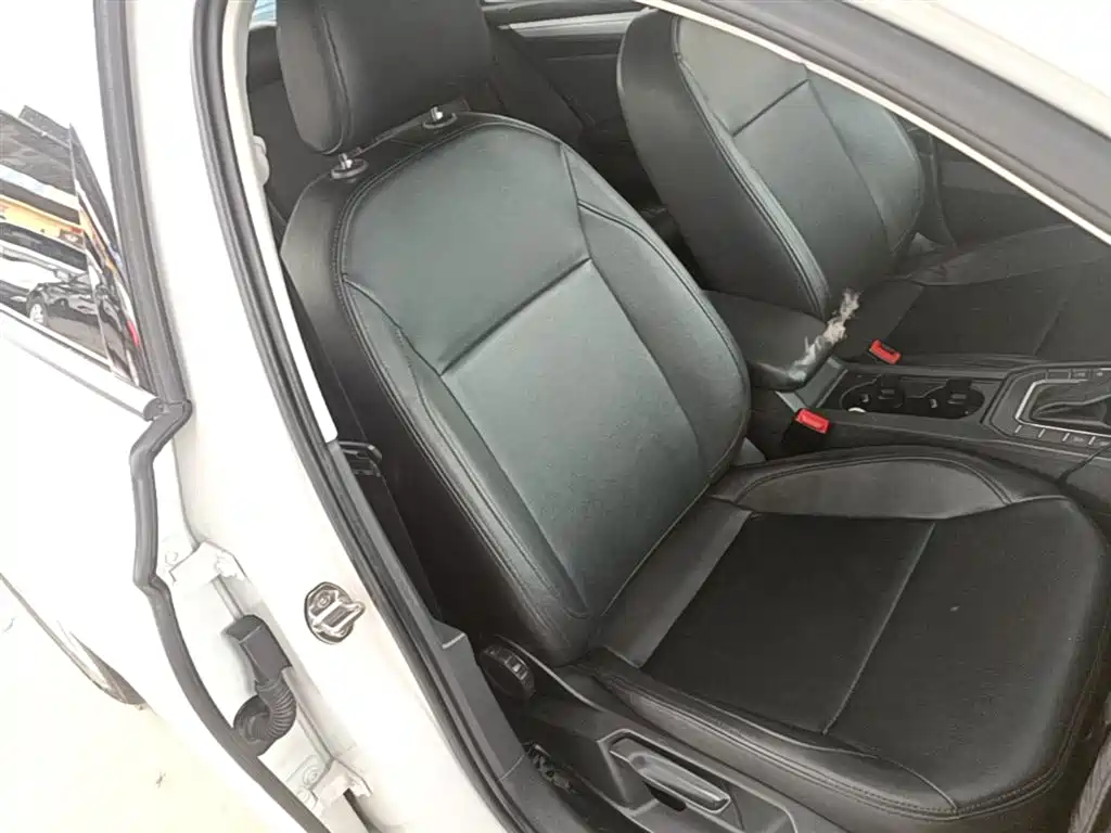 Volkswagen Lamando 2019 230TSI DSG Fashion Edition China VI фото 25