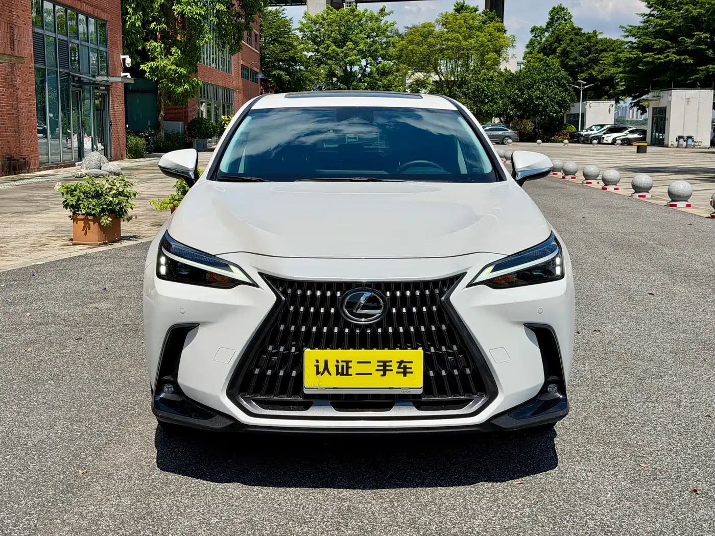 Lexus NX 2024 2024 260 FWD Joy Creation Edition