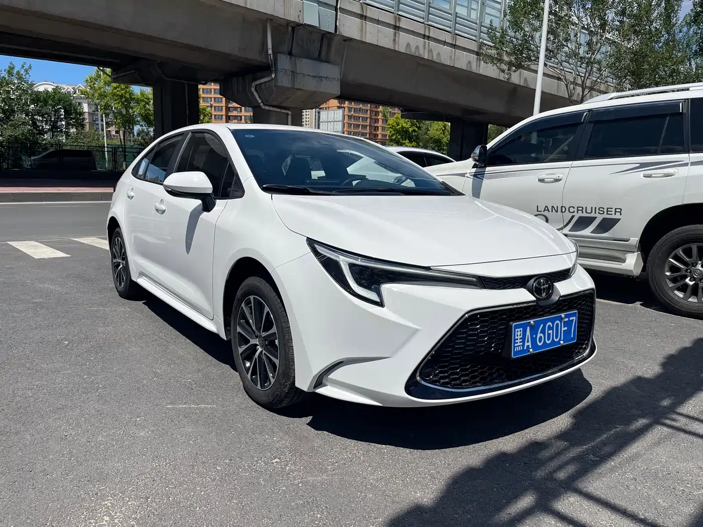 Toyota Levin 2025 2024 185T CVT Luxury Edition