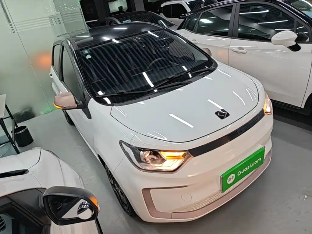 Sehol Flower Fairy 2022 2021 302km Fashion Edition 31.4kWh