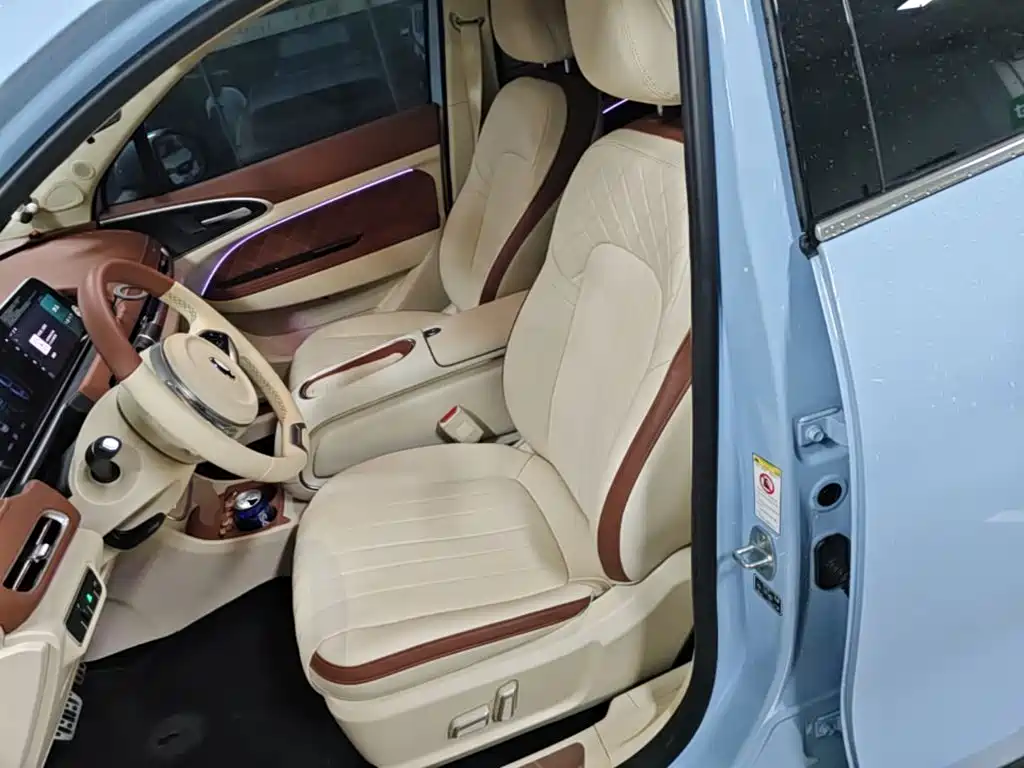 Ora Good Cat 2024 2023 401km Standard Range Luxury LFP