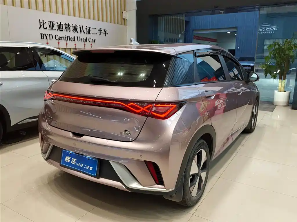 BYD DOLPHIN