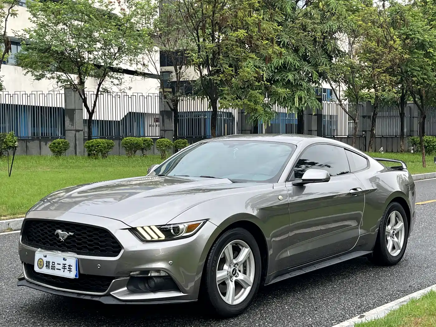 Ford Mustang 2015 2015 2.3T 50th Anniversary Edition