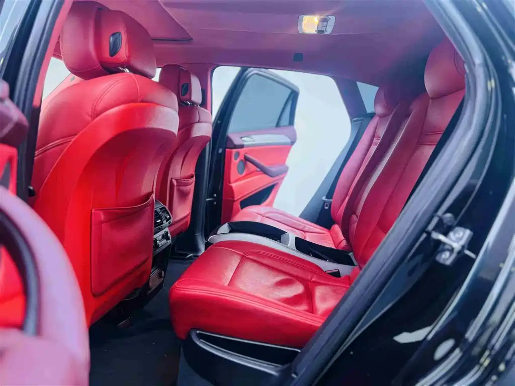 BMW X6 M 2010 X6 M фото 9