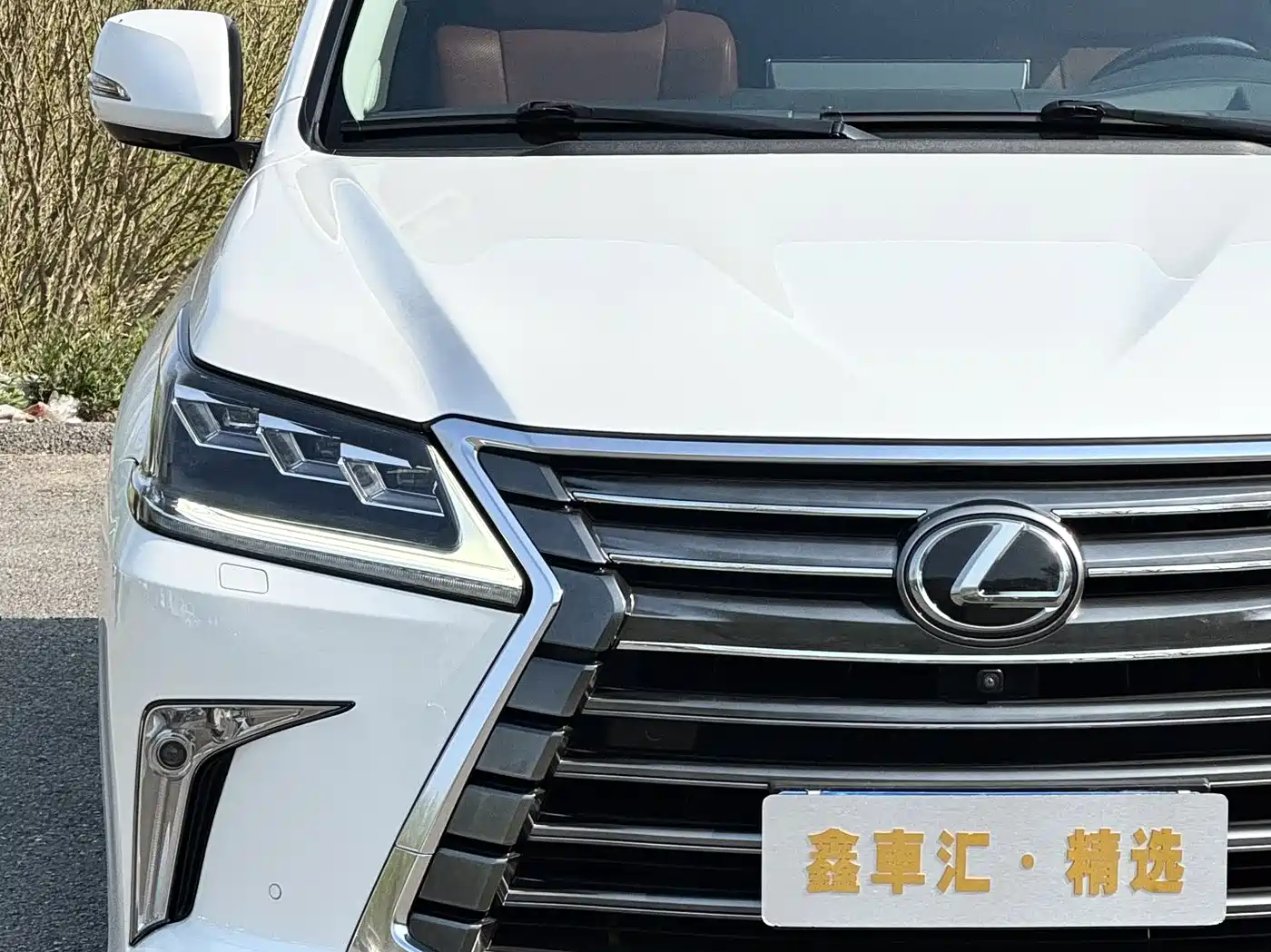 Lexus LX 2019 570 Dynamic Luxury Edition фото 6