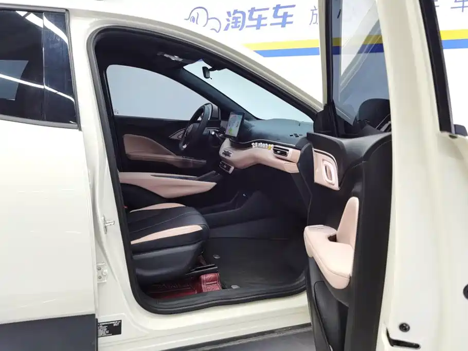 BYD Seagull 2026 2025 Smart Drive Edition 305km Vitality Version