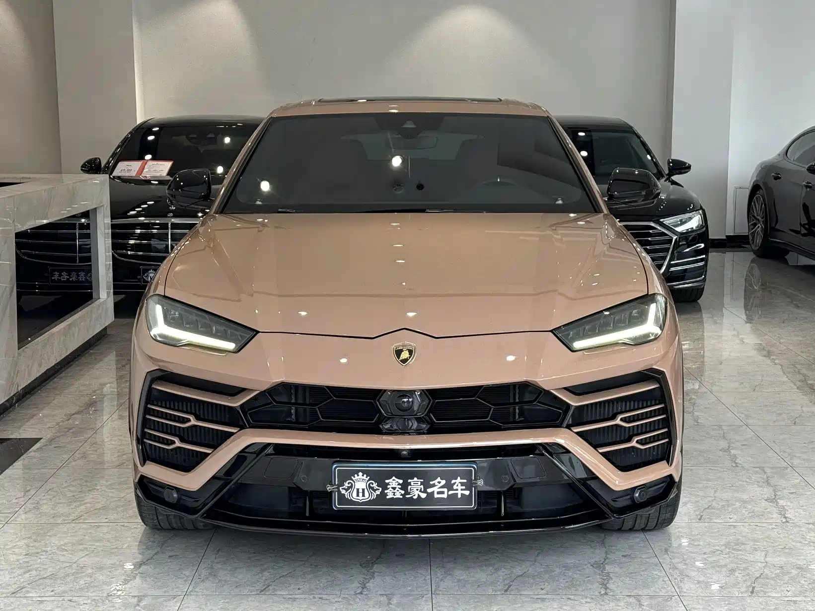 Фото 4 - Lamborghini Urus