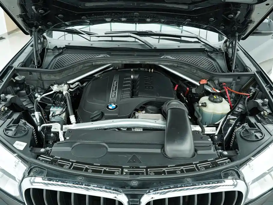 BMW X5 (Import) 2018 xDrive35i M Sport Model фото 30