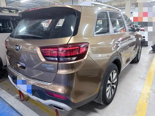 Kia KX7 2017 2.0T Automatic 4WD DLX 7-Seater фото 18