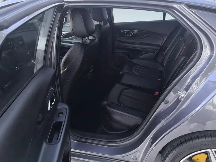  SHADOW LEOPARD