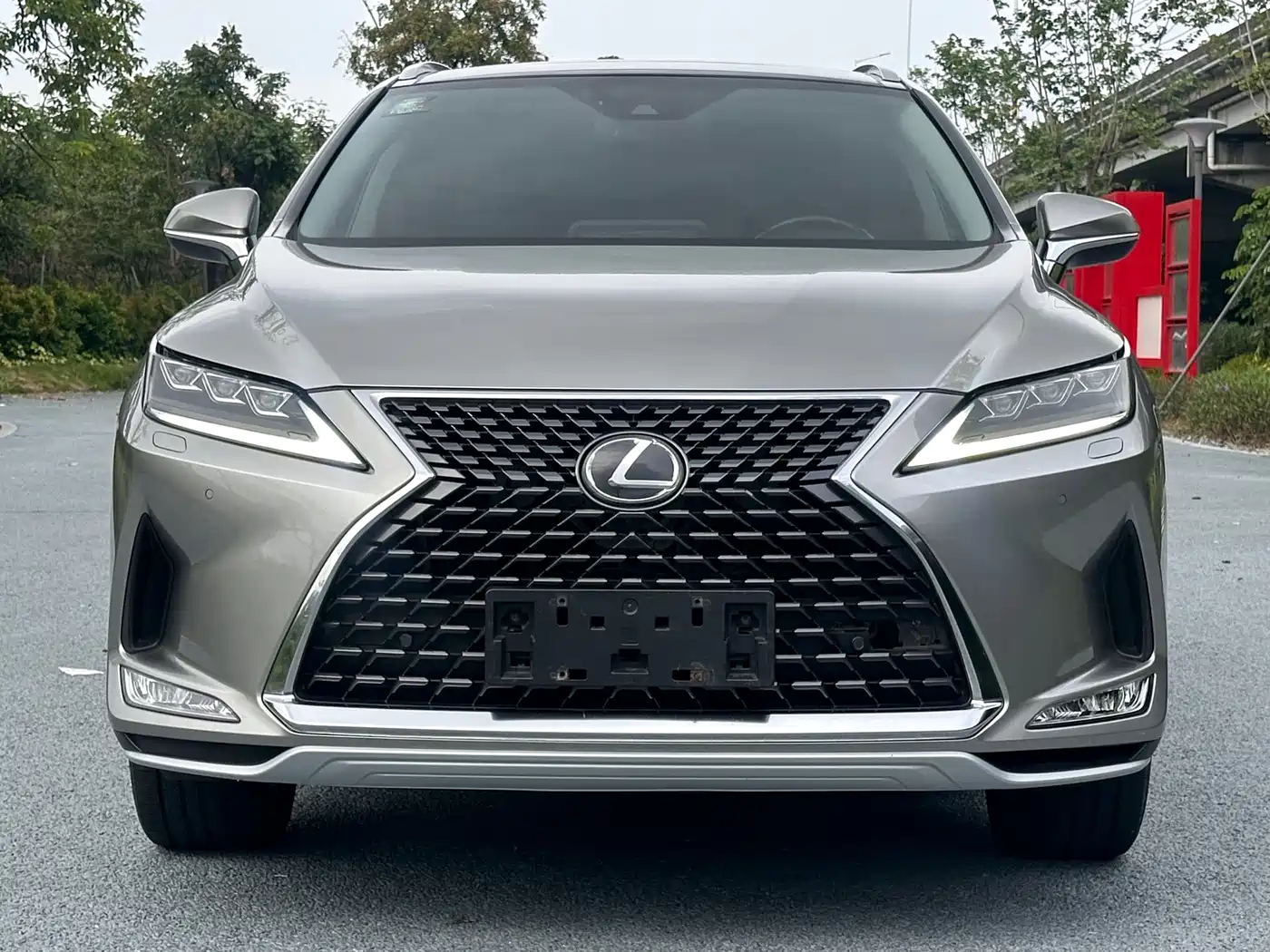 LEXUS RX