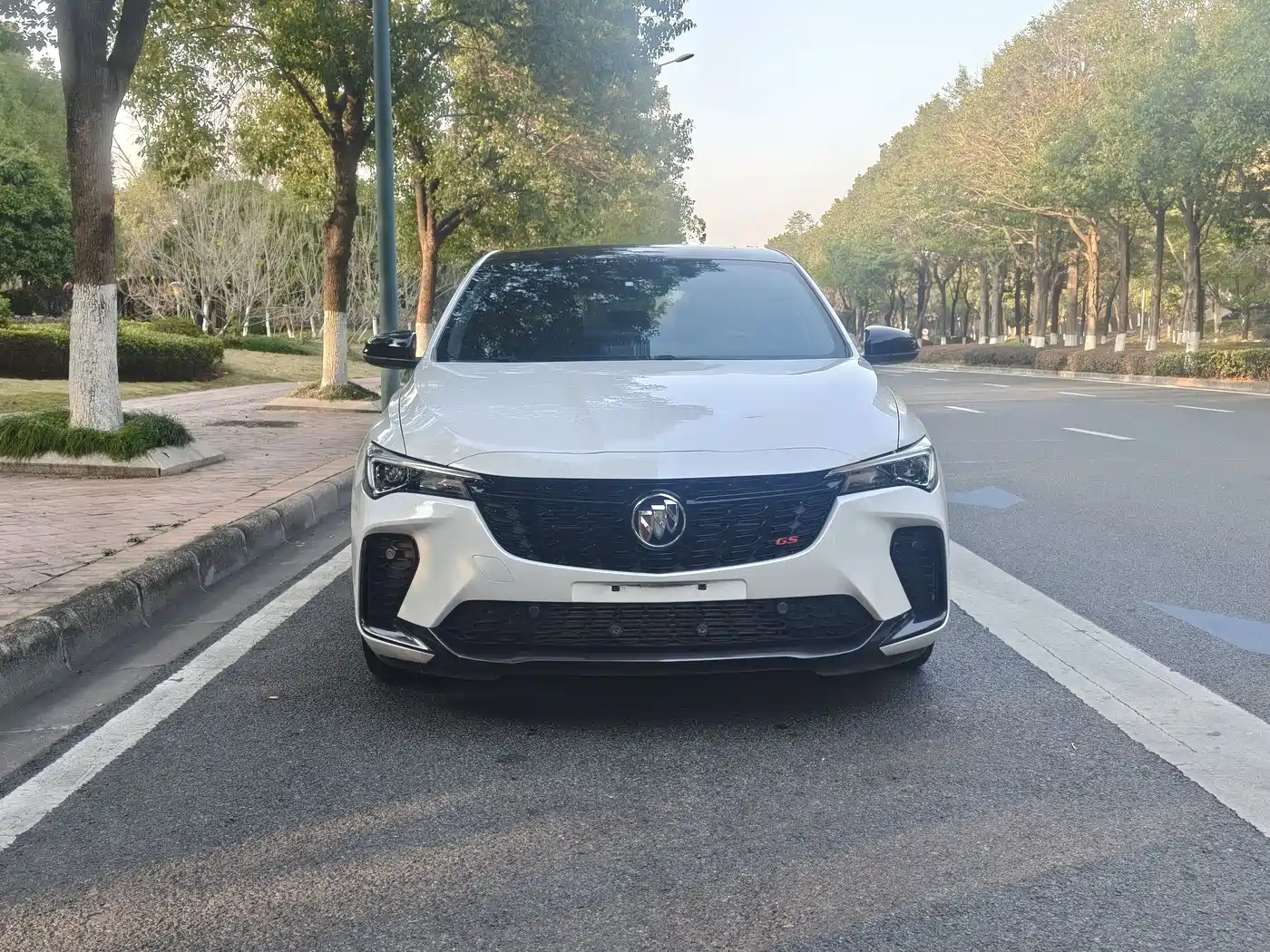 BUICK WEILANG