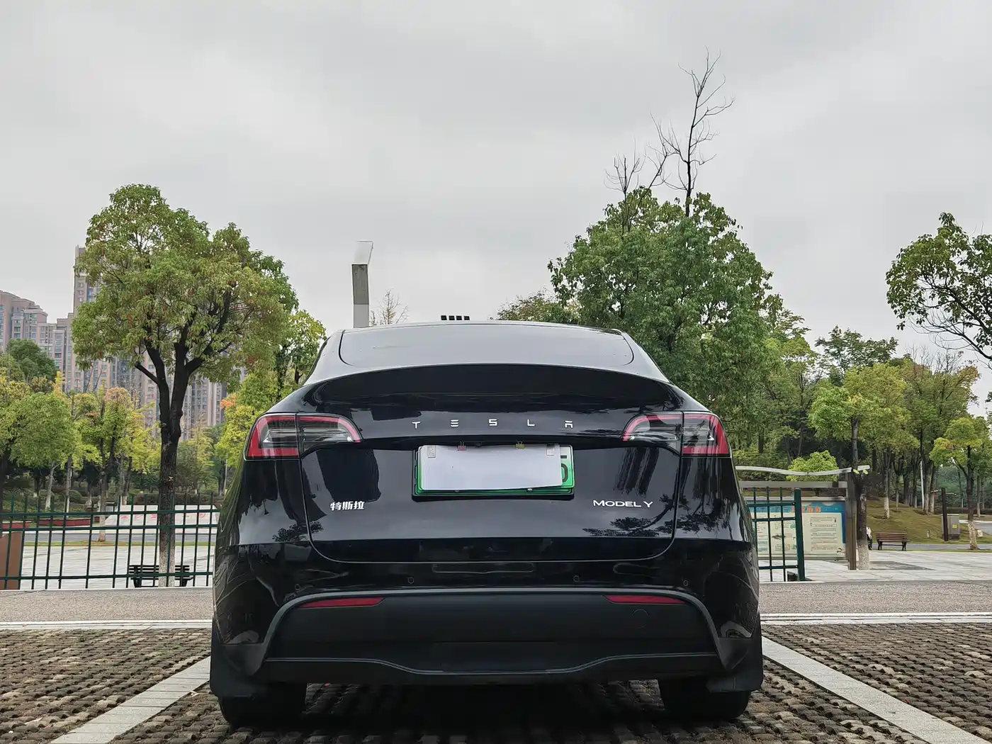 TESLA MODEL Y