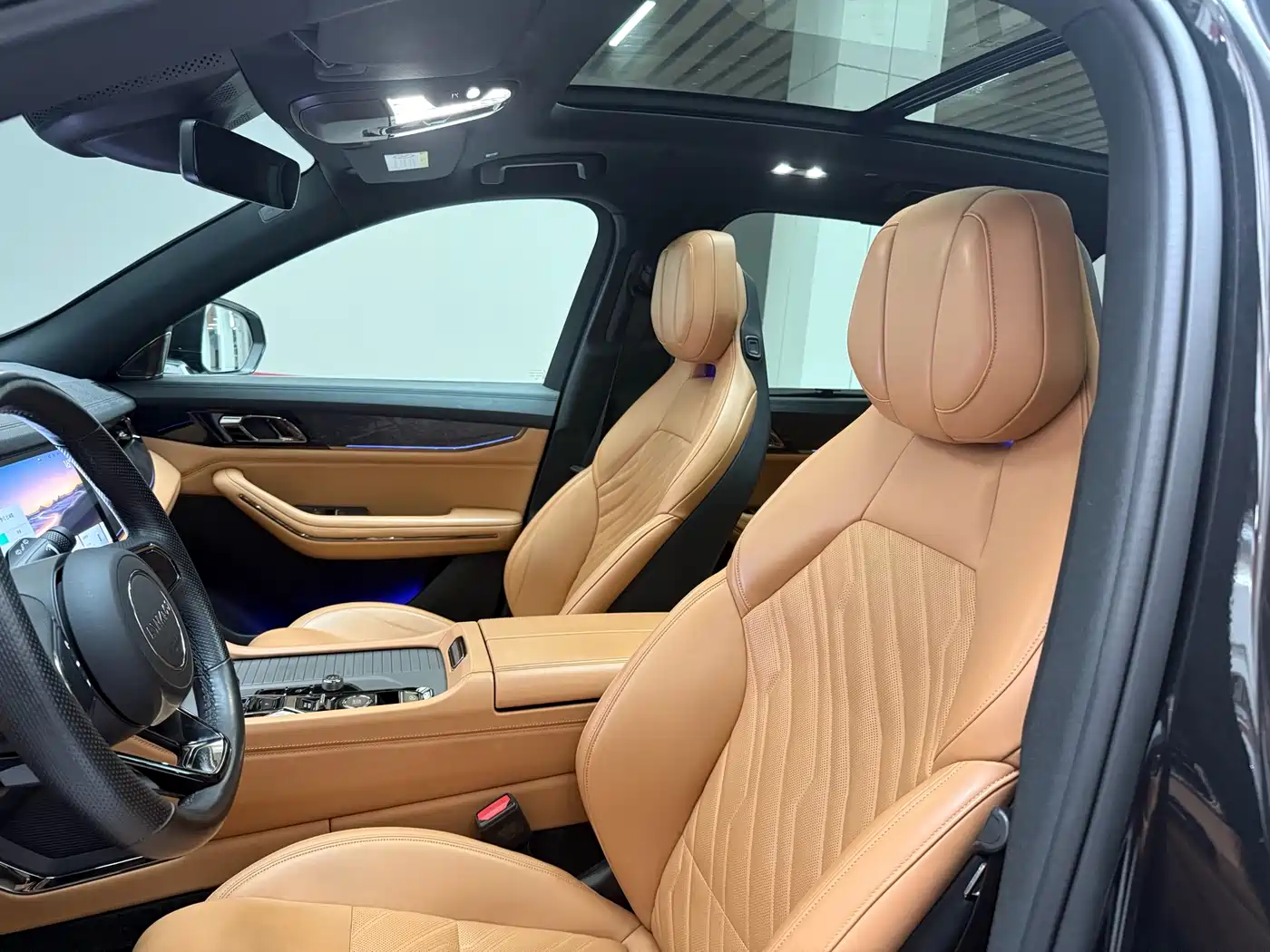 Lynk & Co 09 EM-P 2021 2.0T PHEV Halo 6-seater фото 14