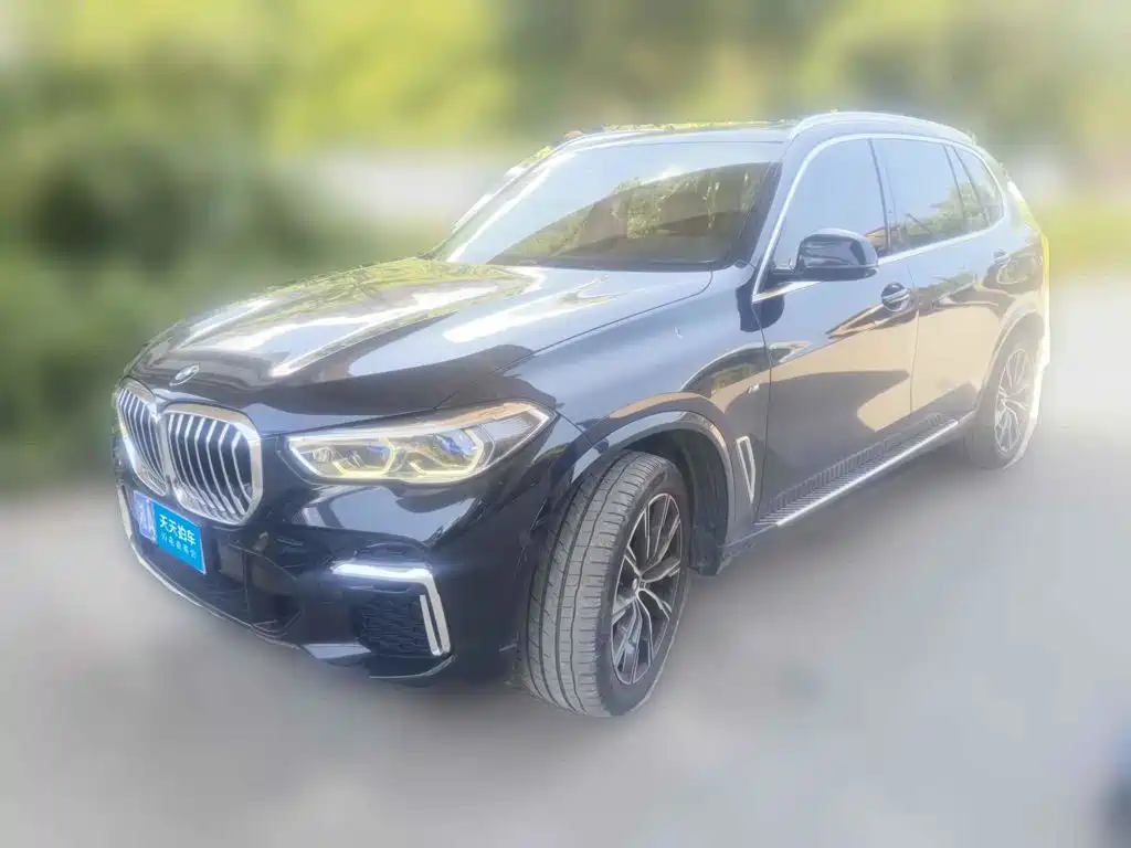 BMW X5 2022 xDrive 30Li M Sport Package